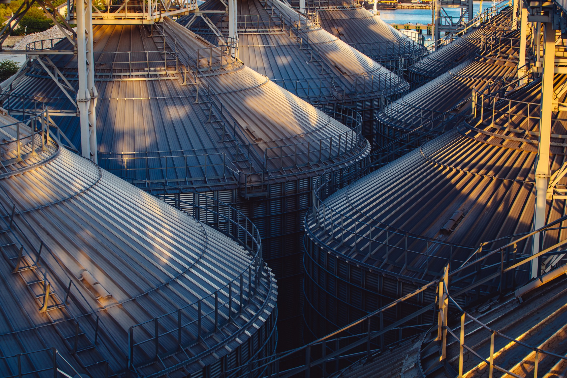 Зерновой терминал ГК «Дело» в Новороссийске запустил онлайн-платформу для экспортёров